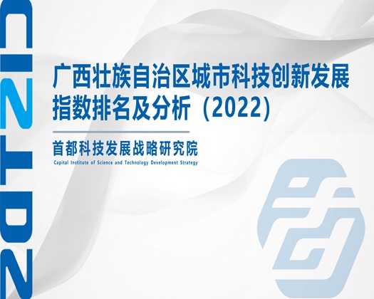 艹逼日屄视频网站【成果发布】广西壮族自治区城市科技创新发展指数排名及分析（2022）